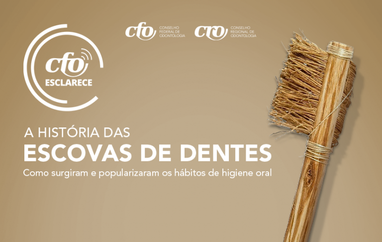 Conheça a história das escovas de dentes e sua evolução 